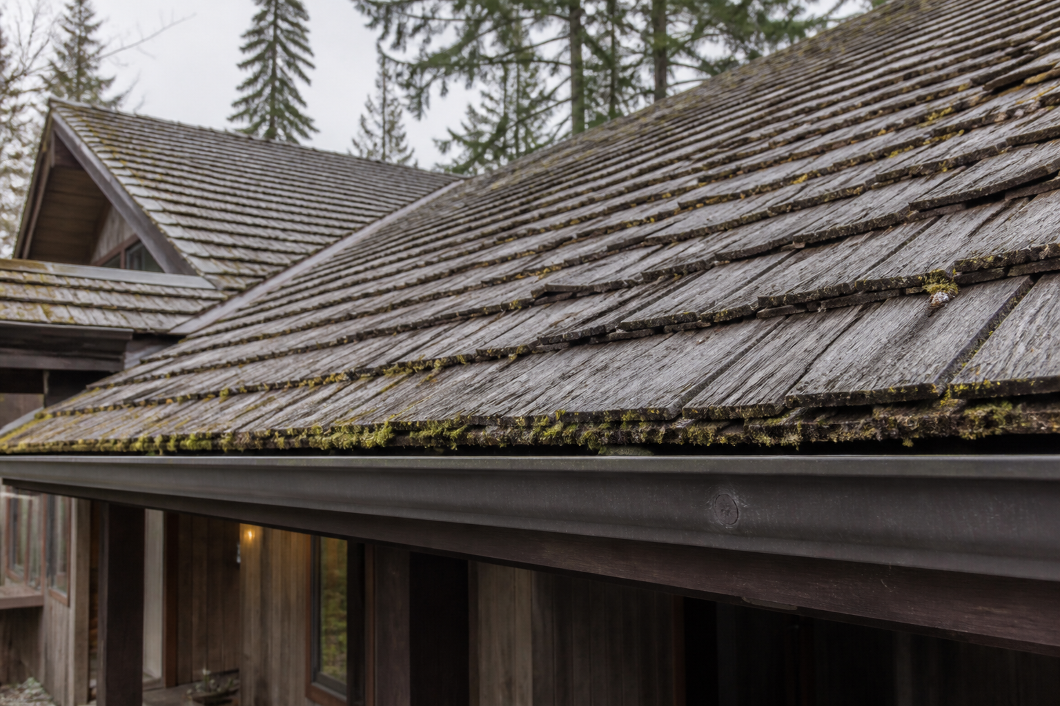 Primary problem-area detail before work on a roofing scenario typical of North Vancouver post-and-beam homes