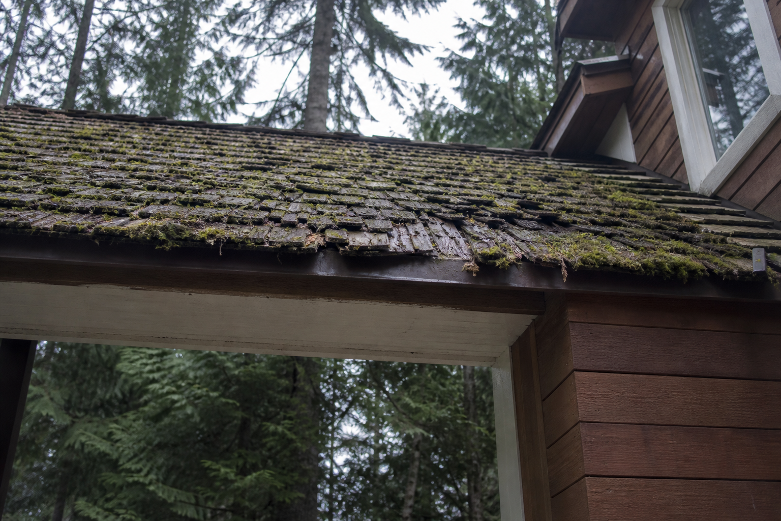 Primary problem-area detail before work on a roofing scenario typical of North Vancouver Deep Cove cottages