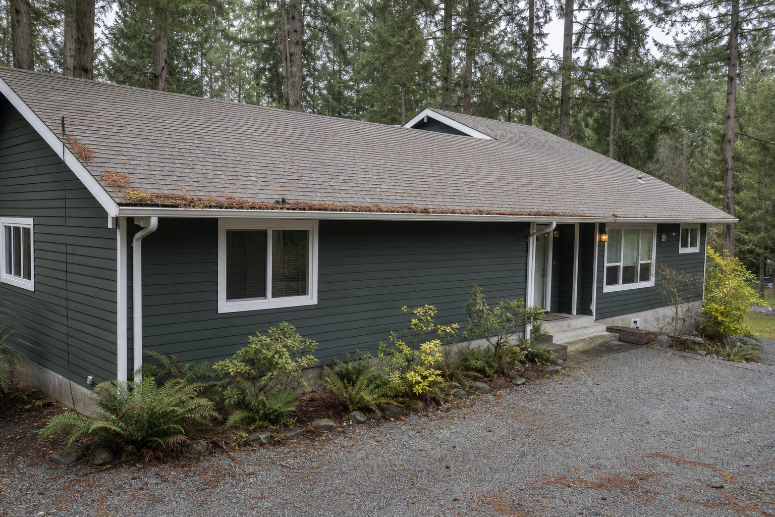 Establishing property view before work on a roofing scenario typical of Port Moody conifer-edge homes