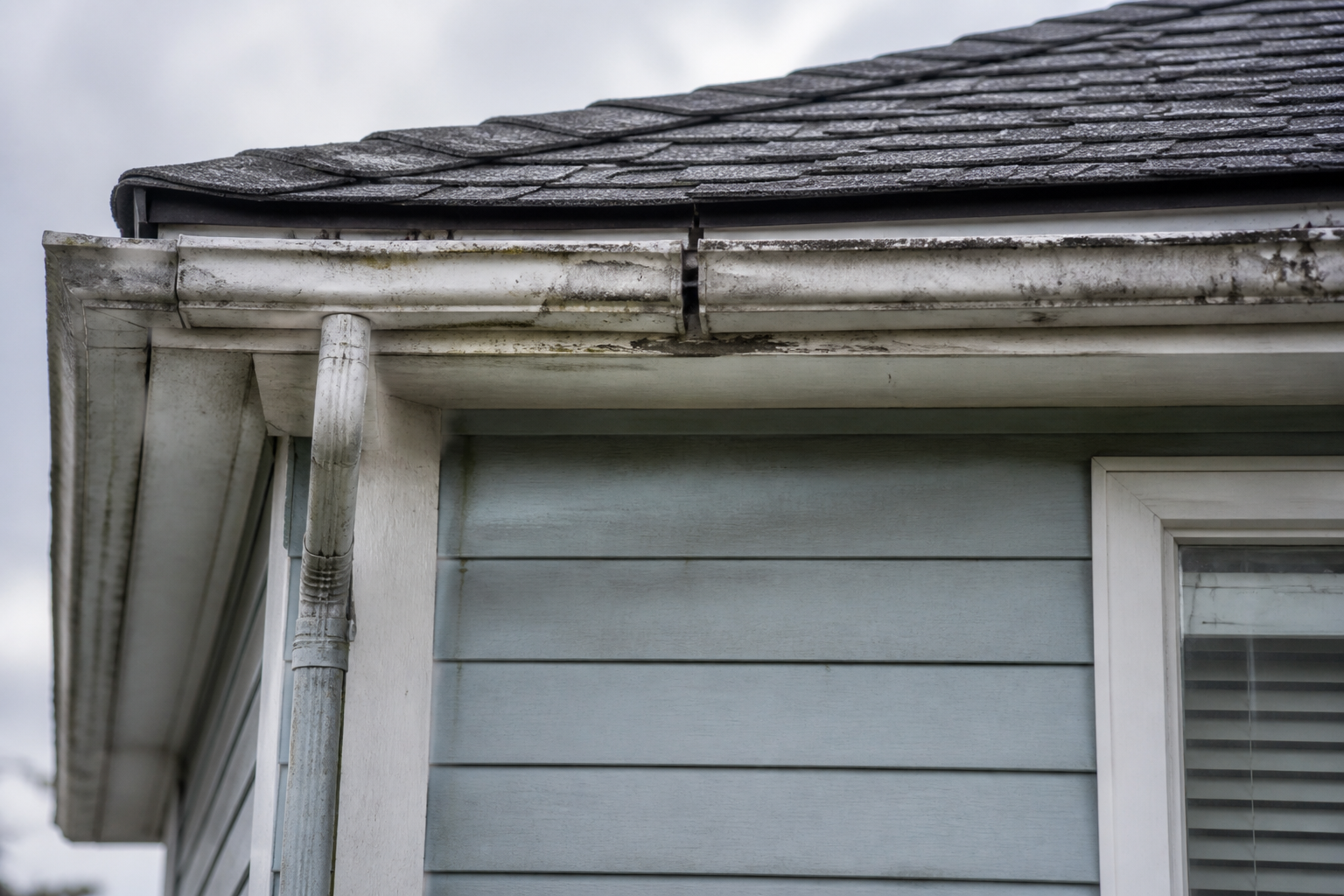 Primary problem-area detail before work on a roofing scenario typical of White Rock coastal homes