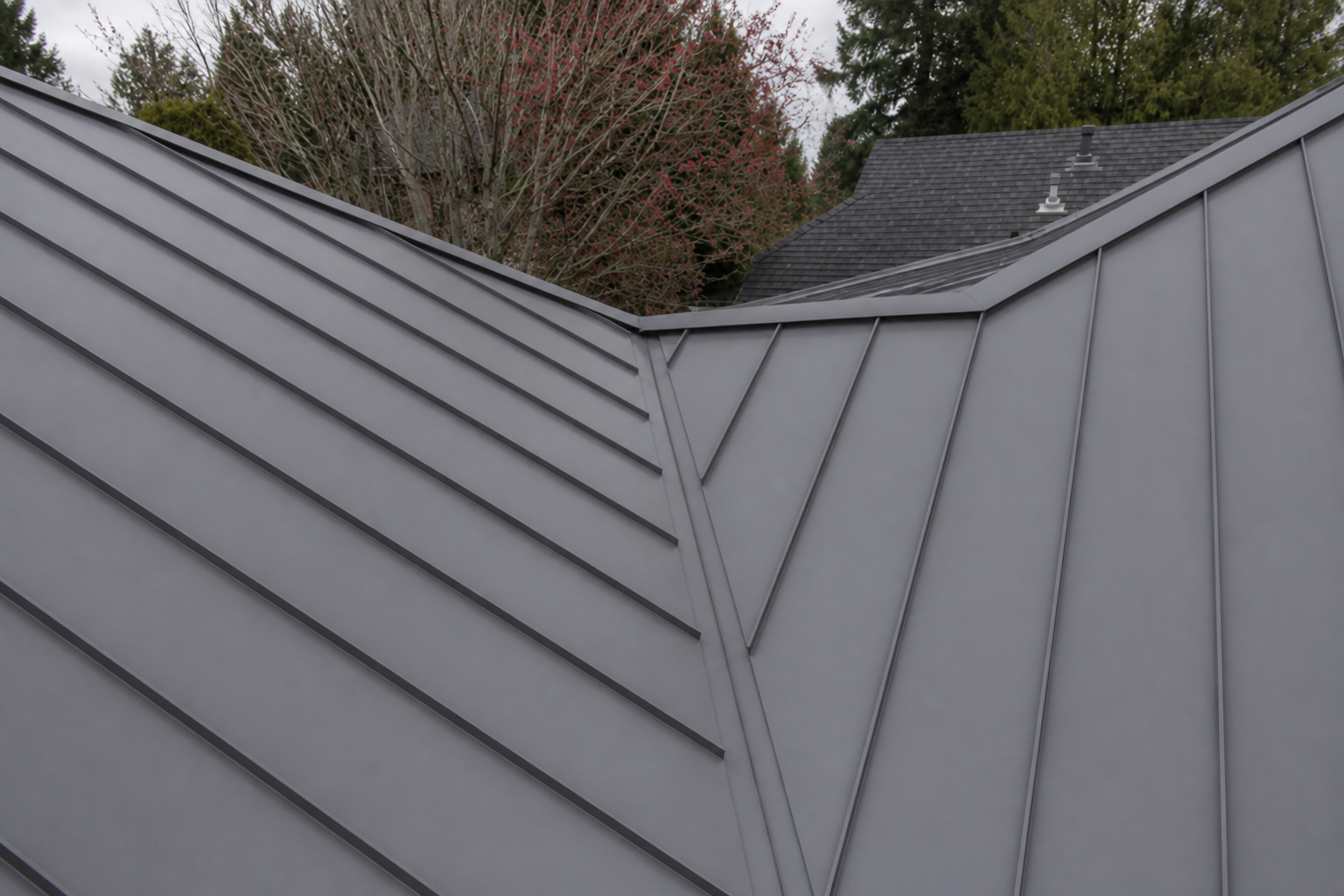 Matching alternate angle after work on a roofing scenario typical of Coquitlam family homes