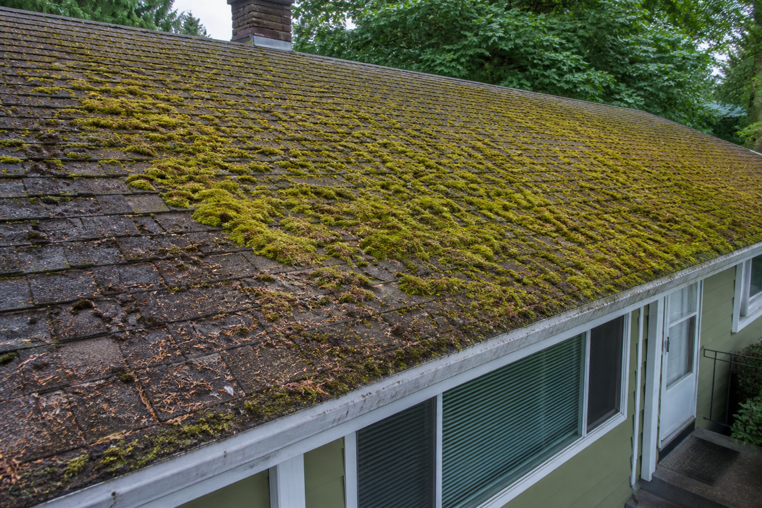 Primary problem-area detail before work on a roofing scenario typical of West Coquitlam ranchers