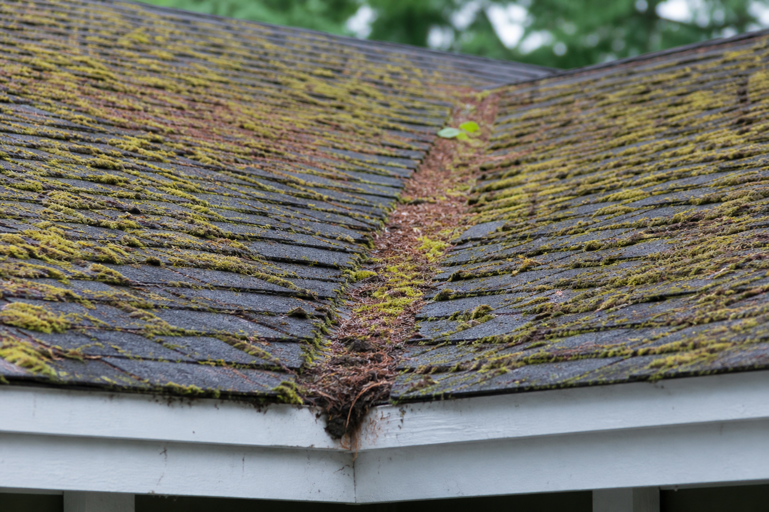 Tight technical failure detail before work on a roofing scenario typical of West Coquitlam ranchers