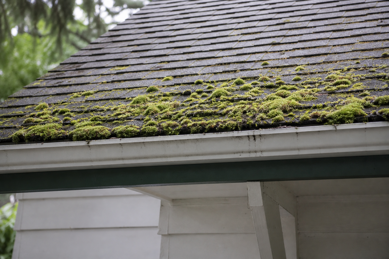 Alternate angle of the failure before work on a roofing scenario typical of West Vancouver cottage homes